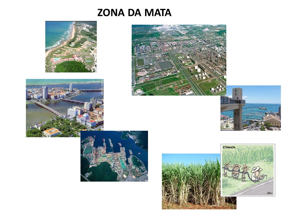 slide21