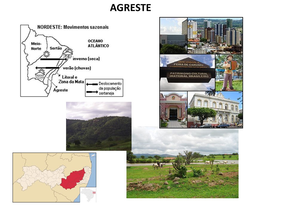 slide22