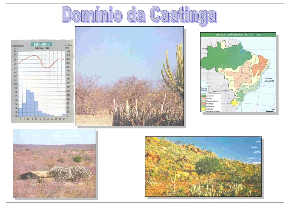slide23