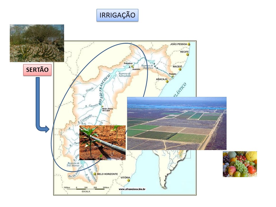 slide24