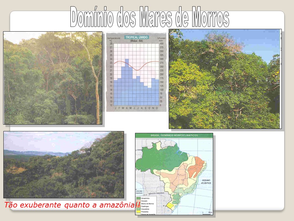 slide25