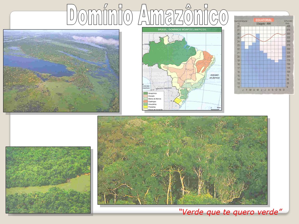 slide29