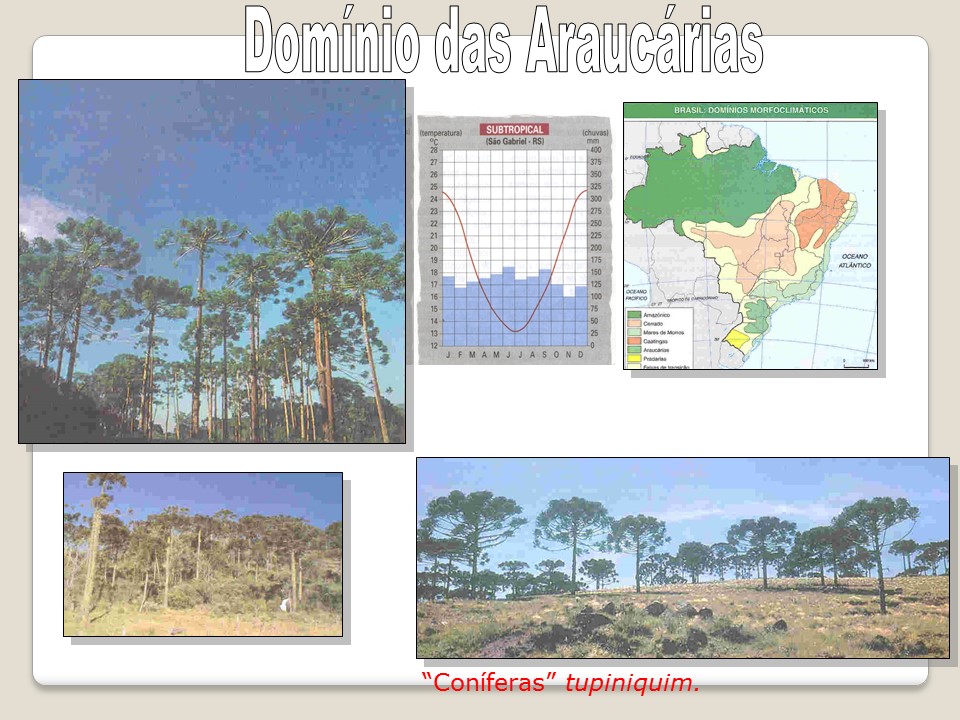 slide30