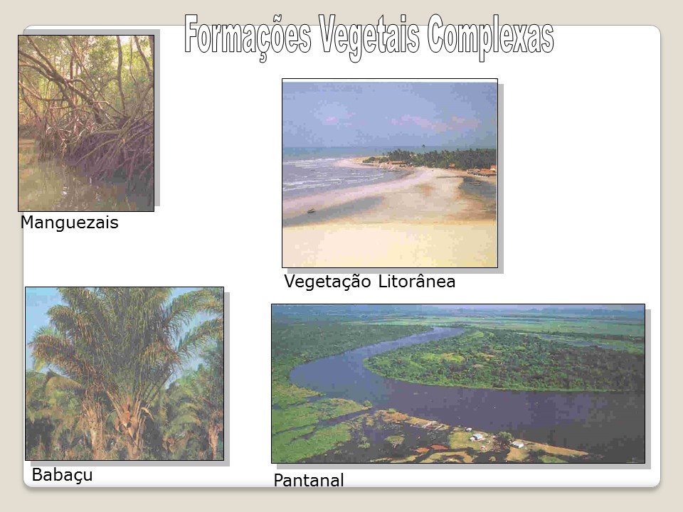 slide31