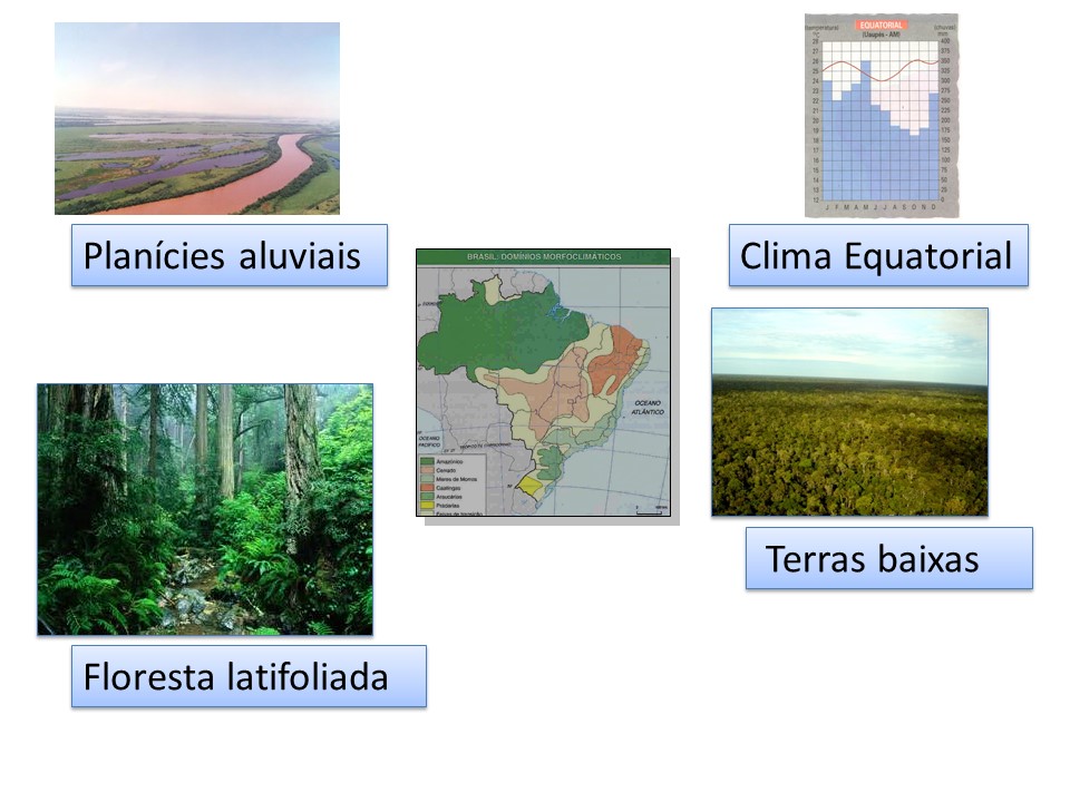 slide6