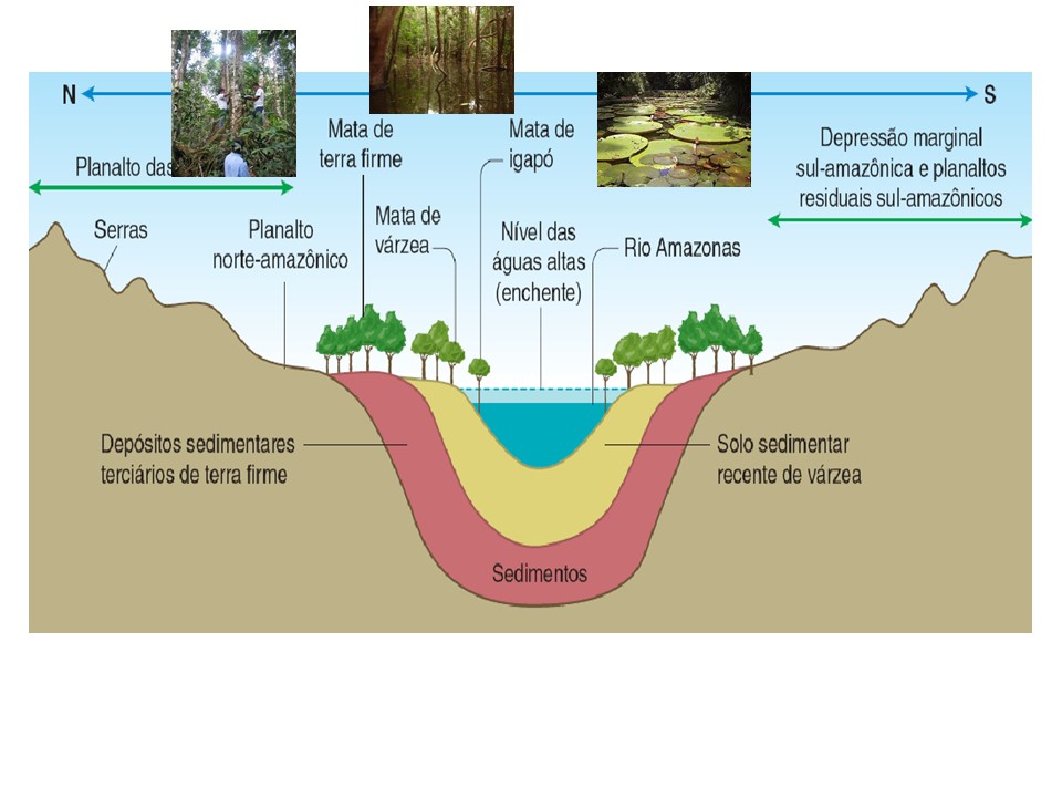 slide7