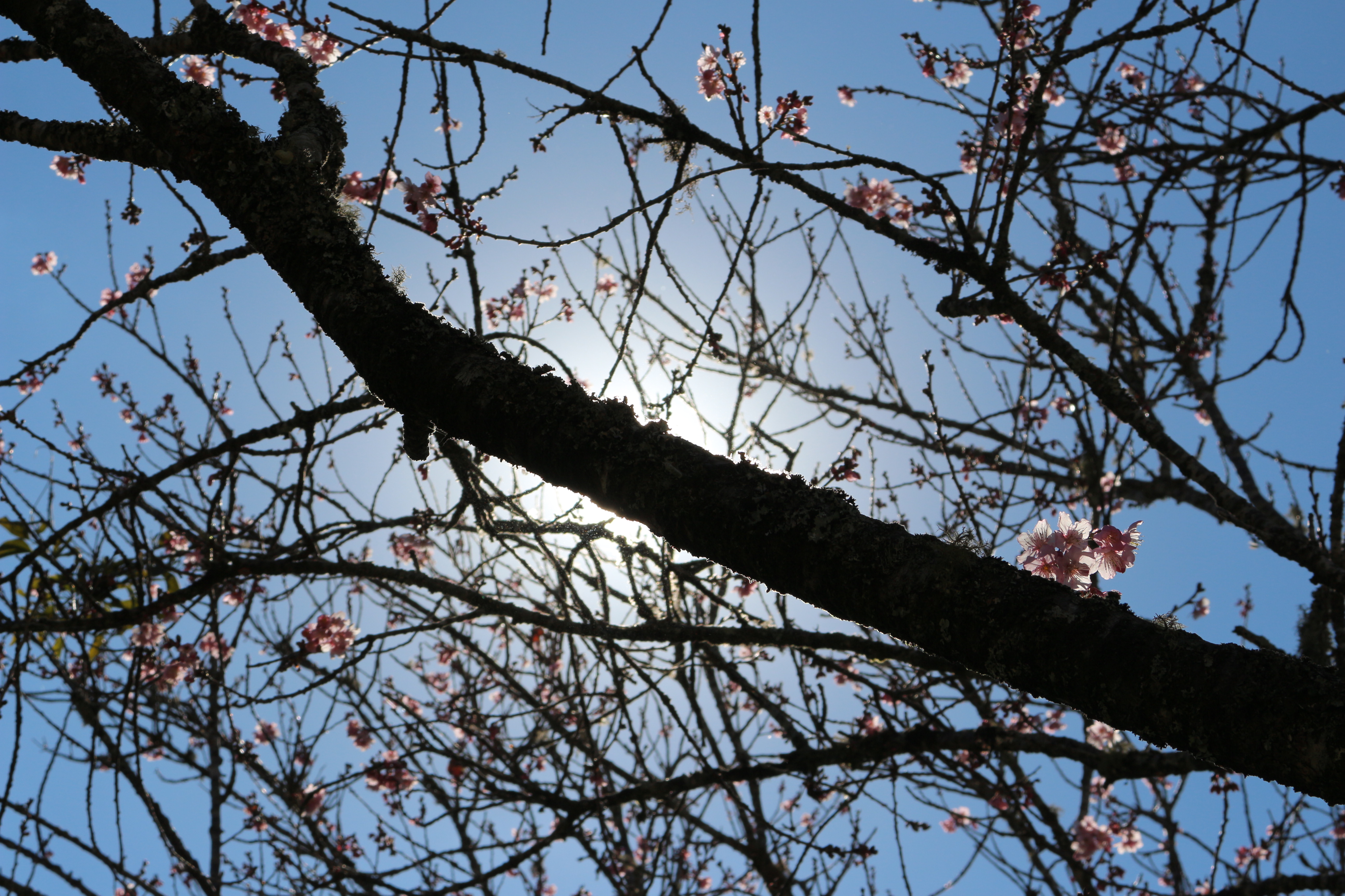 IMG_1491 - Copia - Copia (2)