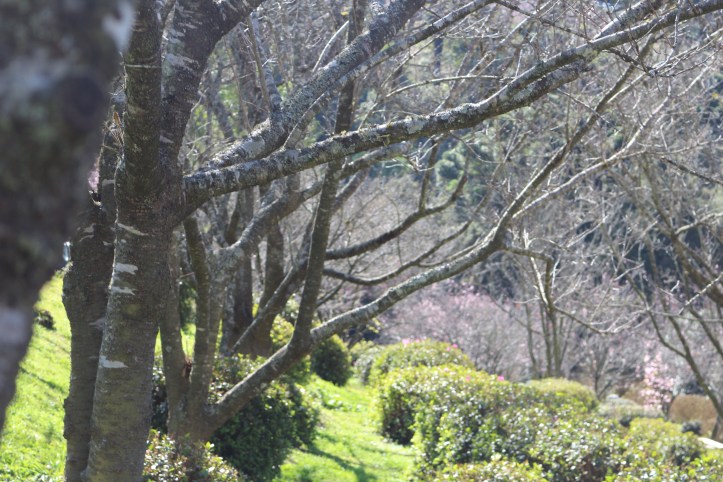 IMG_1497 - Copia - Copia - Copia