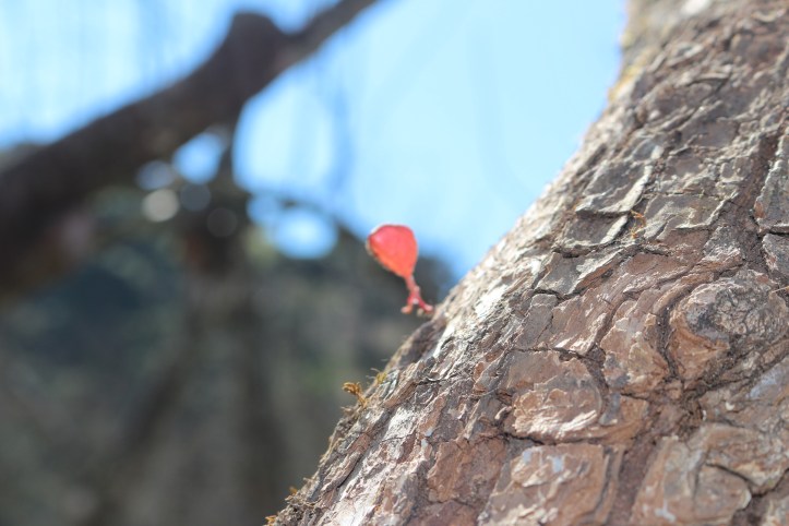 IMG_1502 - Copia - Copia - Copia