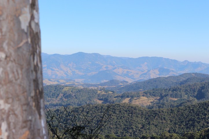 IMG_1570 - Copia - Copia - Copia