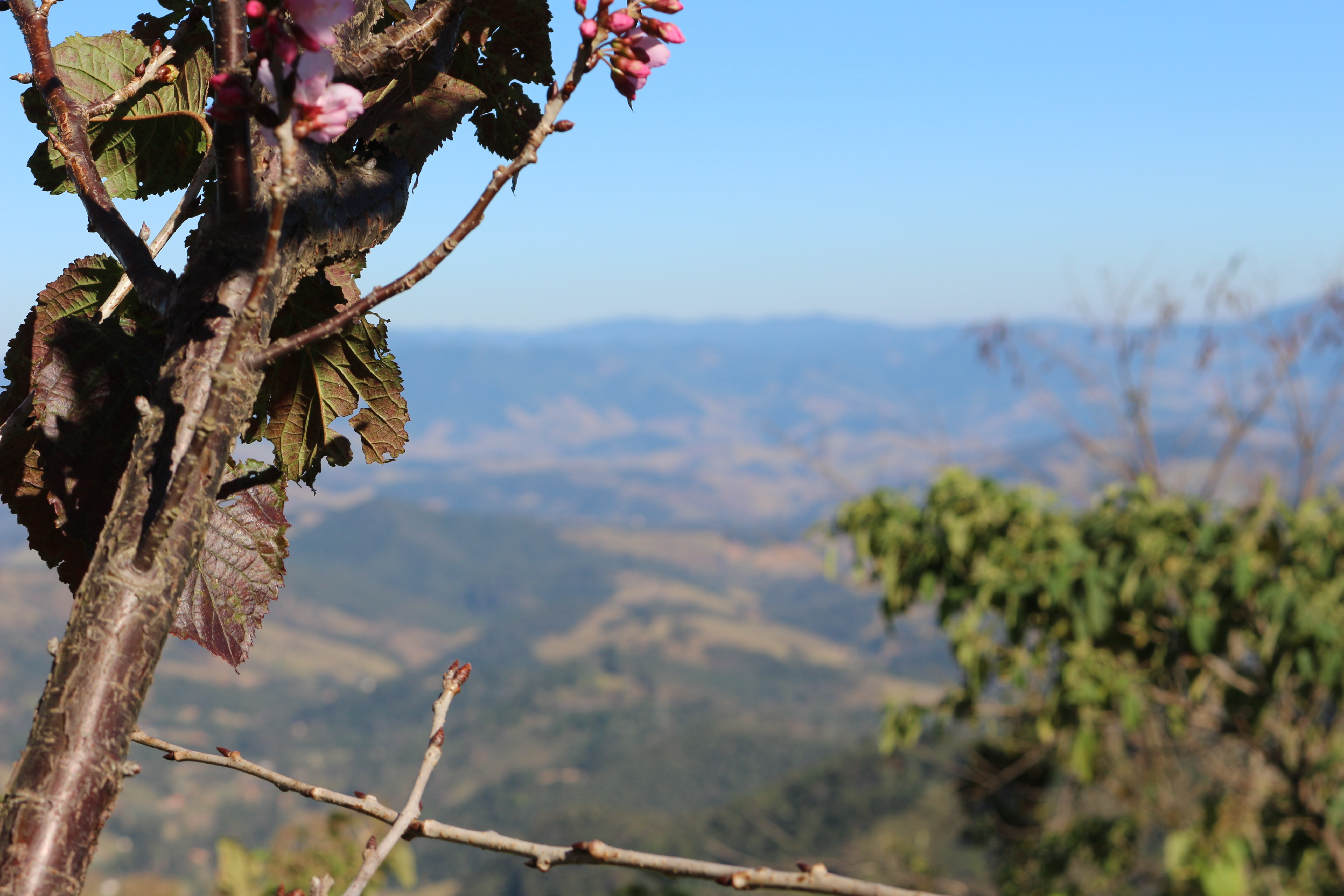 IMG_1572 - Copia - Copia - Copia