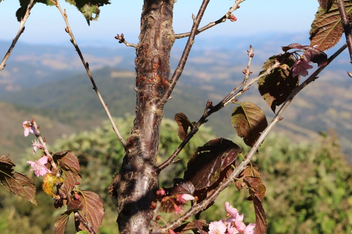 IMG_1573 - Copia - Copia - Copia