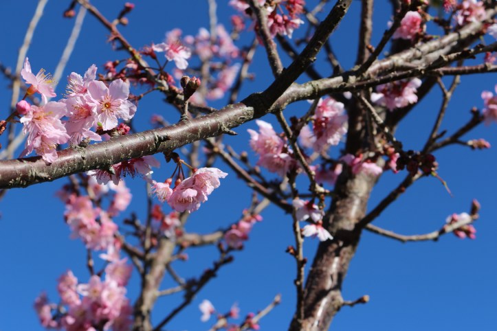 IMG_1575 - Copia - Copia - Copia