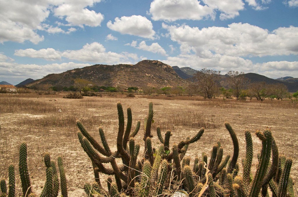 A CAATINGA E O GOOGLE&nbsp;MAPS