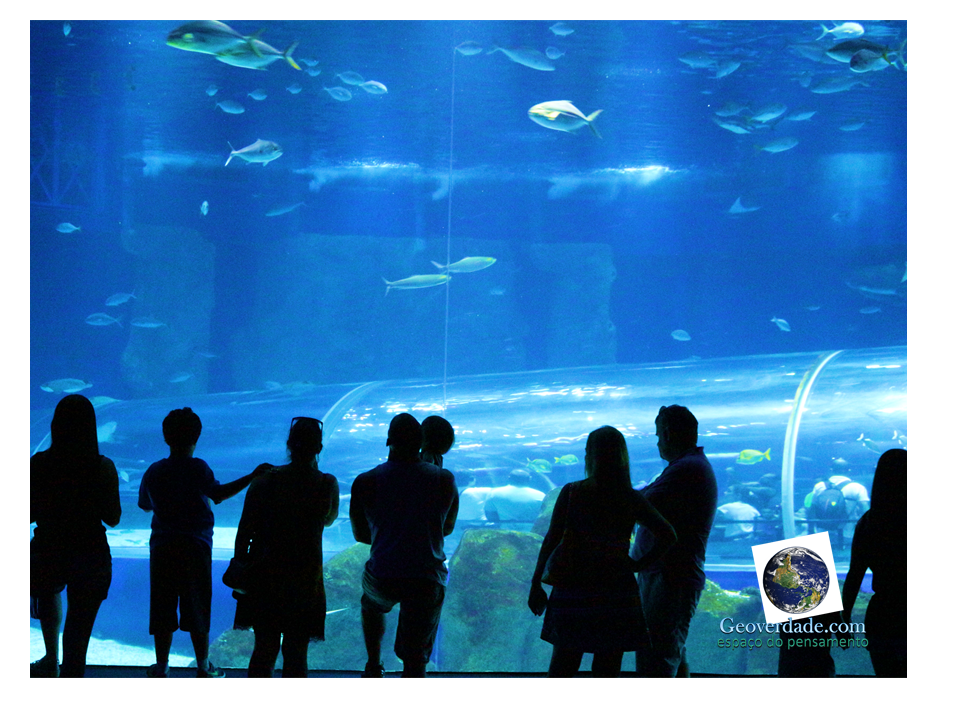 Slide14