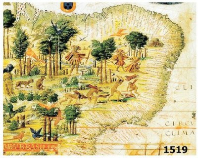 O que são Sesmarias?&nbsp;(atividade)