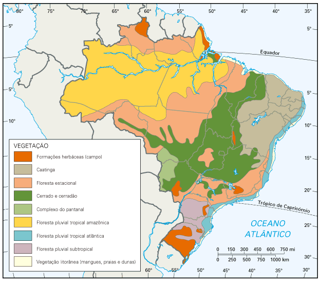 Formações Vegetais do&nbsp;Brasil