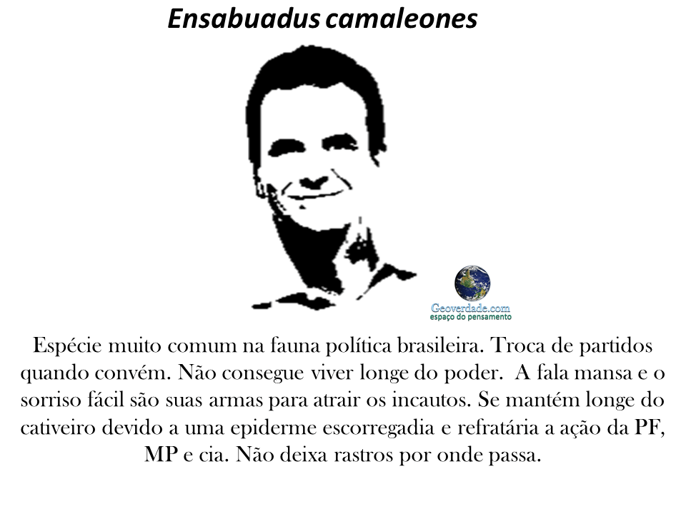 Fauna política brasileira