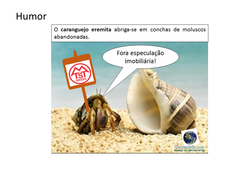 humor cadeia terciaria