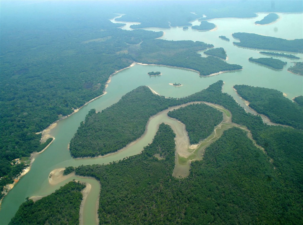 Tilápia avança na Amazônia e gera preocupação sobre impacto ambiental&nbsp;(avaliação)