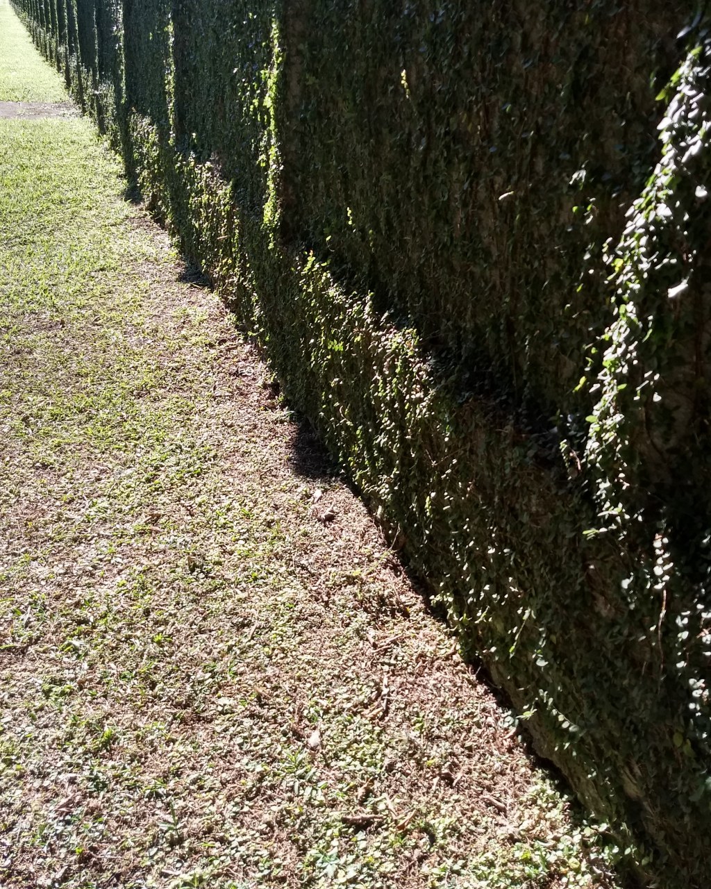 Ajuste necessário!