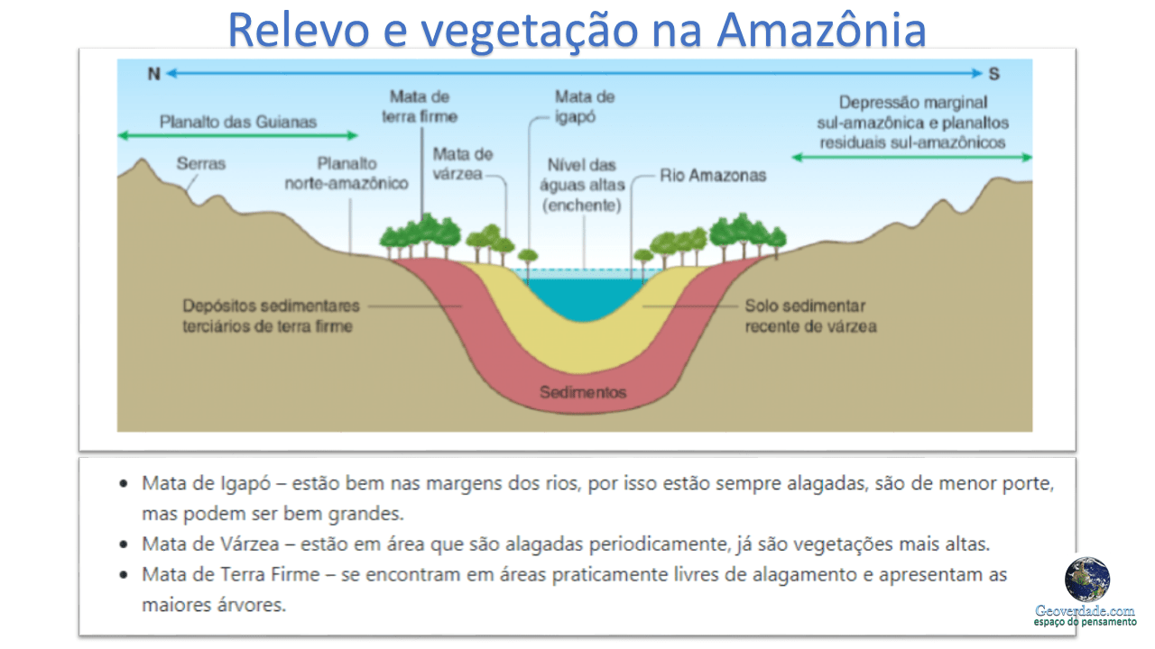 Slide11