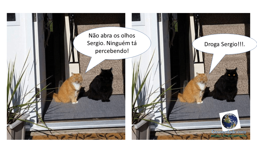 Humor animal!