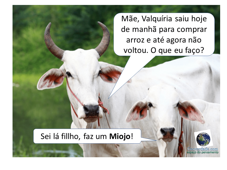 Slide3