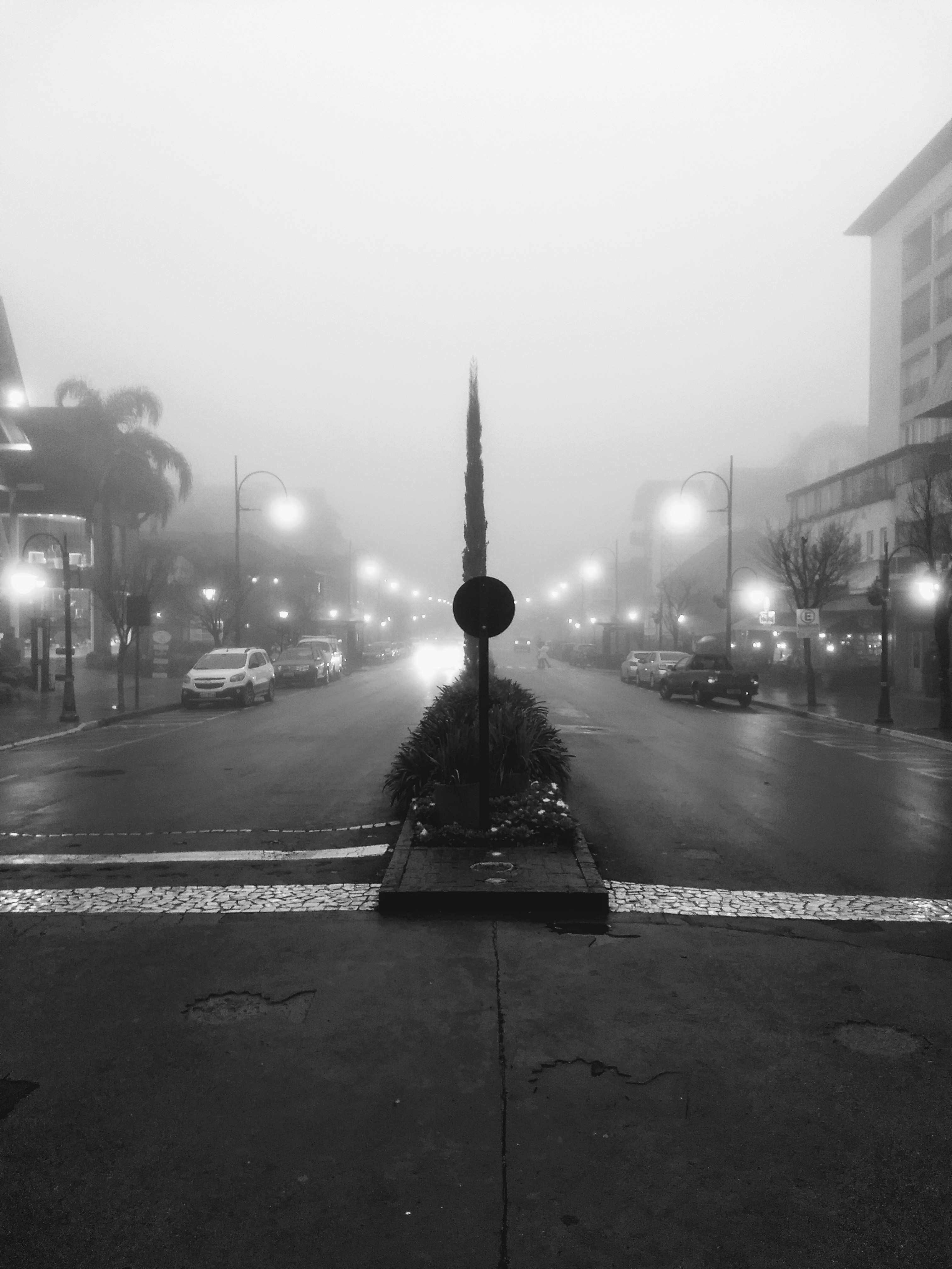 IMG_20200728_172004008~2