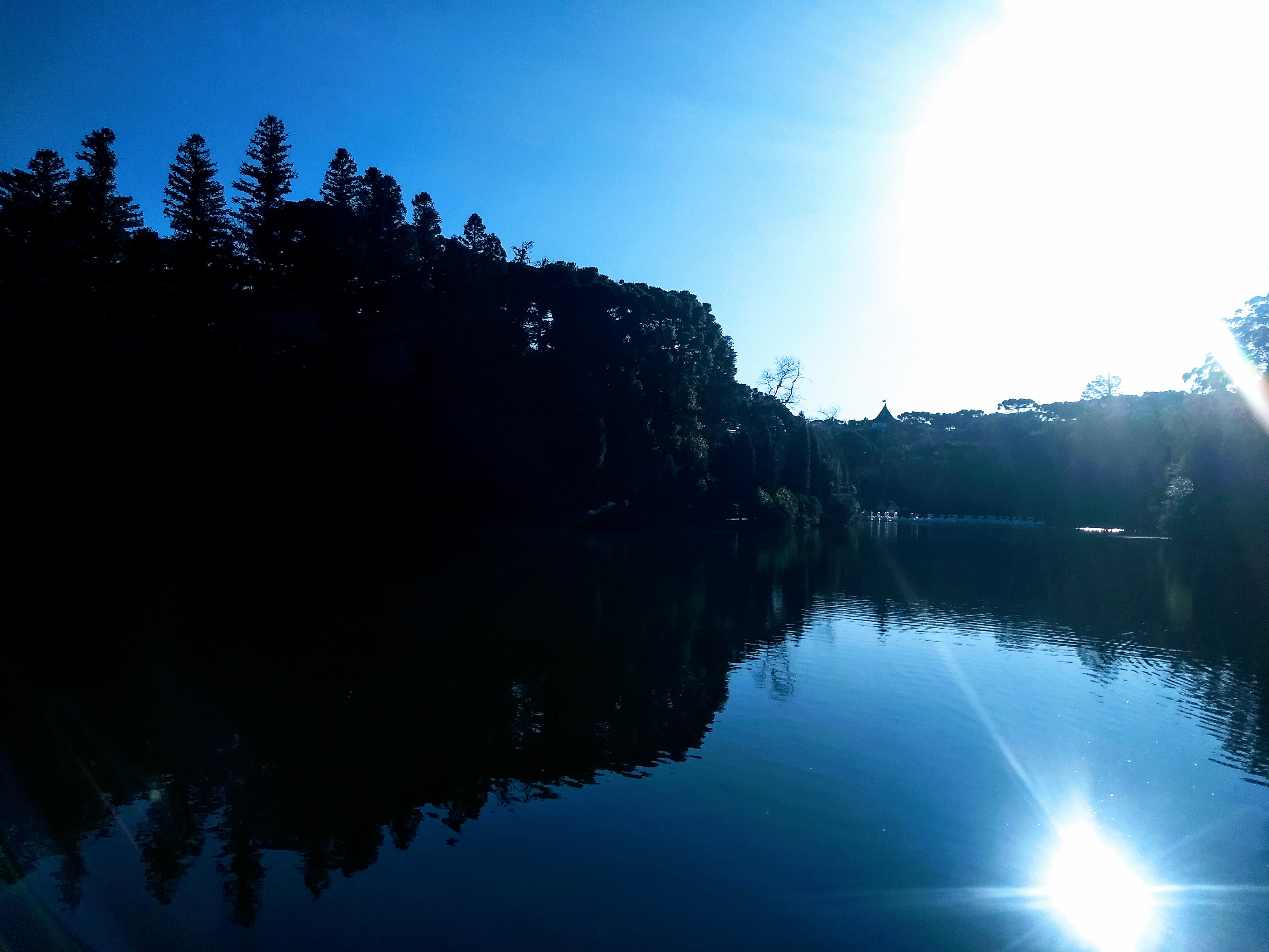 IMG_20200729_161006568~2