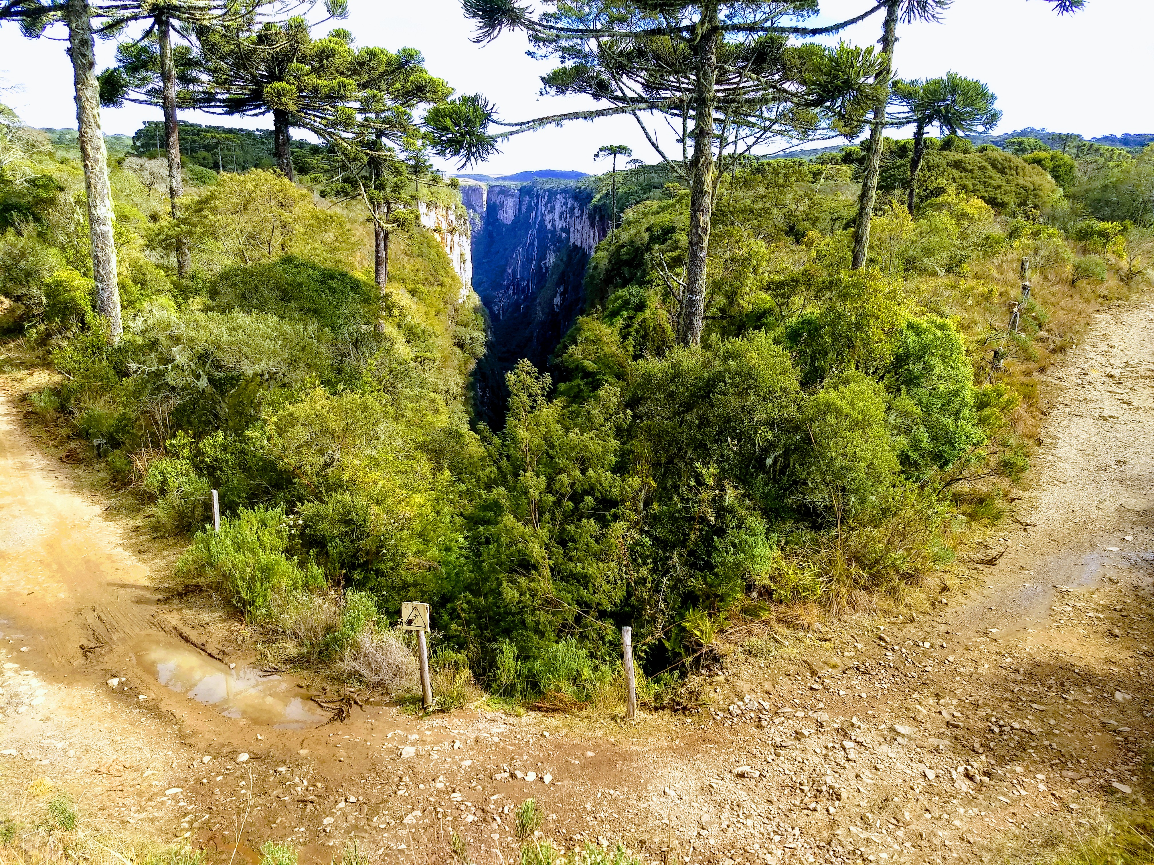 IMG_20200730_125317866~2