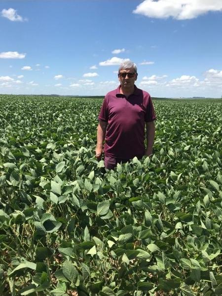 Brasil foca em soja e milho para exportação, e arroz e feijão perdem&nbsp;espaço…