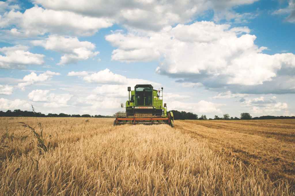Brasil eleva participação mundial no agro nesta&nbsp;década