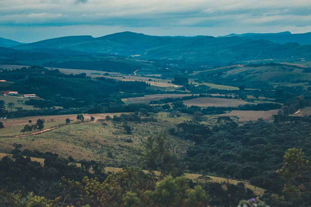 Domínio do Cerrado