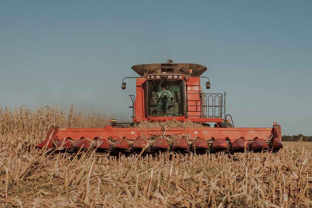 Menos floresta, mais agropecuária