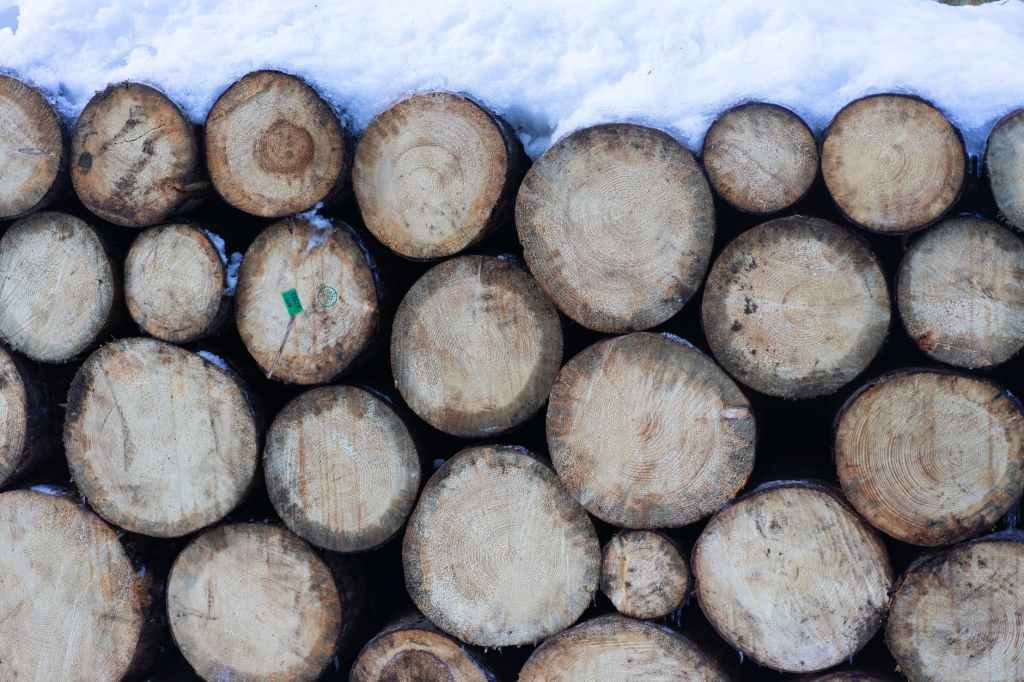 Mais desmatamento, menos chuva e menor produção&nbsp;agrícola
