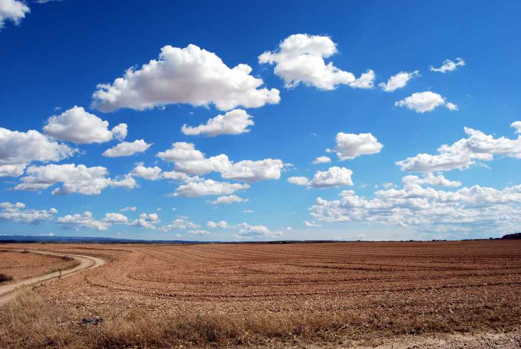 Com secas e degradação, Caatinga perdeu 40% de água original em 35 anos&nbsp;(EF07GE11)