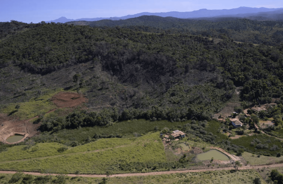 Mata atlântica tem crescimento histórico de&nbsp;desmatamento